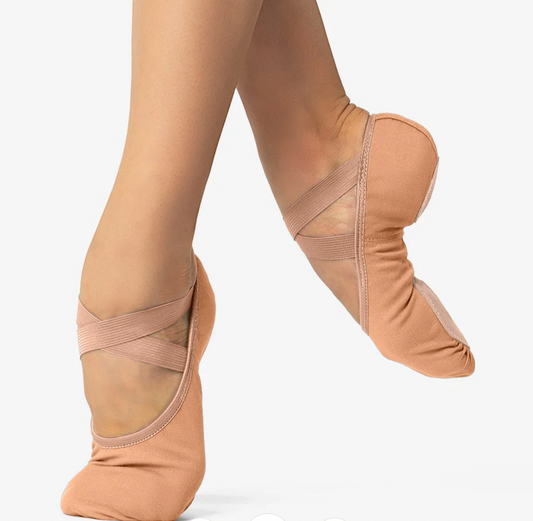 Shoes- So Danca Ballet- Canvas