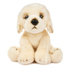 Load image into Gallery viewer, Stuffed Animals- 12&quot; Stuffed Golden Retriever
