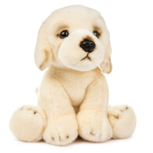 Load image into Gallery viewer, Stuffed Animals- 12&quot; Stuffed Golden Retriever
