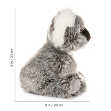 Load image into Gallery viewer, Stuffed Animals- 12&quot; Stuffed Koala
