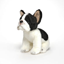 Load image into Gallery viewer, Stuffed Animals- Lil&#39; Oliver the French Bulldog
